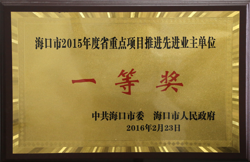 ?？谑?015年度省重點項目推進先進業(yè)主單位一等獎