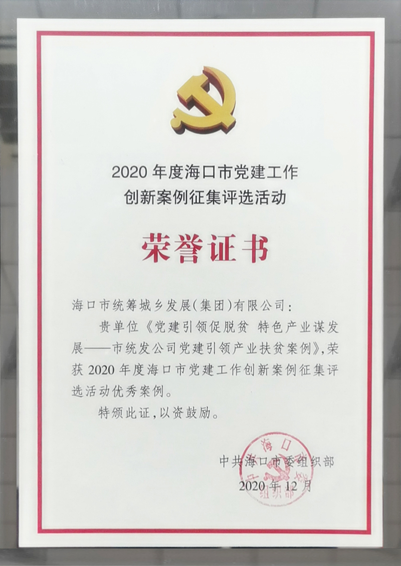 2020年度?？谑悬h建工作創(chuàng)新案例征集活動優(yōu)秀案例